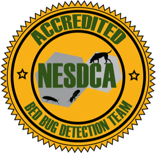 NESDCA Accredited